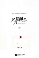 只为遇见你 上