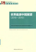 世界能源中国展望 2018-2019版