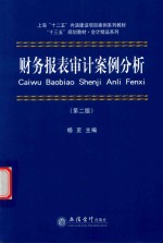 财务报表审计案例分析 第2版