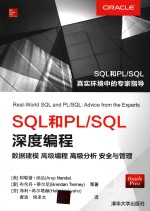 SQL和PL/SQL深度编程 数据建模 高级编程 高级分析 安全与管理