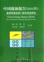 中国能源报告 能源密集型部门绿色转型研究 2018版