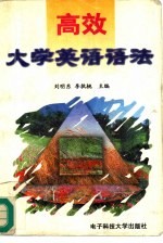 高效大学英语语法