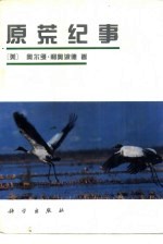原荒纪事