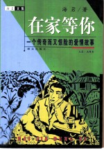 在家等你 又名,玉观音 一个传奇而又惊险的爱情故事