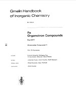 GMELIN HANDBOOK OF LNORGANIC CHEMISTRY FE ORGANOIRON COMPOUNDS PART B11