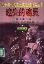 迷失的魂灵 湖北荆沙特大抢劫团伙案侦破纪实