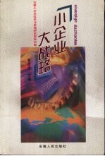 小企业大战略 安徽小企业改革与发展研究报告文集