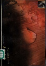 神圣忧思 当代中国新潮启示录 下