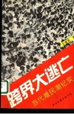 跨界大逃亡 当代难民潮纪实
