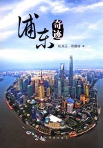 浦东奇迹 新版