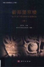 中国·郑州考古 新郑望京楼 2010-2012年田野考古发掘报告 中