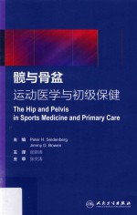 髋与骨盆 运动医学与初级保健 翻译版