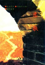 远方诗丛 恋歌
