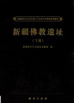 新疆维吾尔自治区第三次全国文物普查成果集成 新疆佛教遗址 下