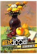解决100问你就是高手 色彩卷
