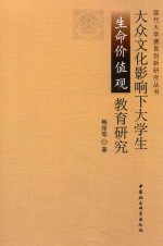 大众文化影响大学生生命价值观教育研究