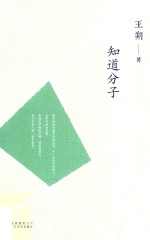 王朔文集 知道分子