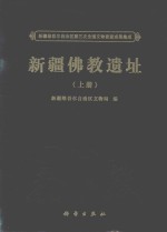 新疆维吾尔自治区第三次全国文物普查成果集成 新疆佛教遗址 上
