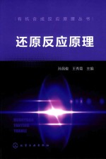 有机合成反应原理丛书 还原反应原理