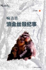 响古箐滇金丝猴纪事