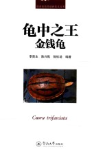 龟中之王 金钱龟