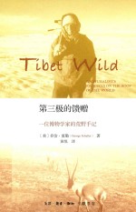 第三极的馈赠