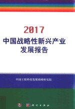 中国战略性新兴产业发展报告 2017