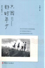 只因那时年少
