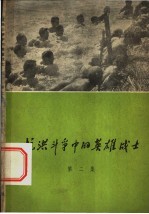 抗洪斗争中的英雄战士 第2集