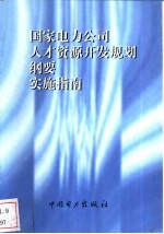 国家电力公司人才资源开发规划纲要实施指南