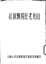红旗飘扬在老秃山