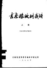 云南橡胶树栽培 下