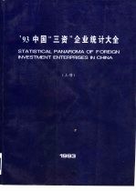 ’93中国“三资”企业统计大全 下