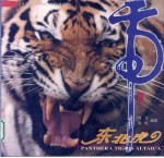 东北虎 下