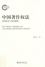 中国著作权法 判例综述与规范解释=The Chinese copyright law case studies and normative analysis