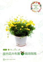 室内花卉布置与栽培指南