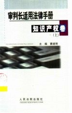 审判长适用法律手册 知识产权卷 下