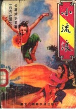 小流浪 下