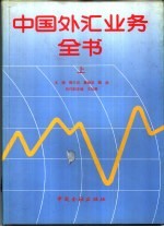 中国外汇业务全书 下
