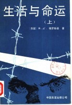 生活与命运 下