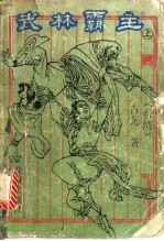 武林霸主 中
