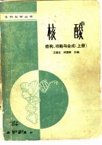 核酸结构、功能与合成 下