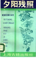 夕阳残照 下