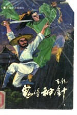 鬼堡神针 下