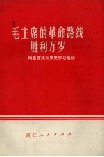 毛主席的革命路线胜利万岁 两条路线斗争史学习笔记