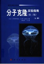分子克隆实验指南 下