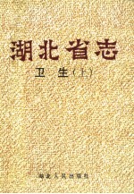 湖北省志 卫生