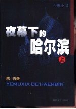 夜幕下的哈尔滨 下