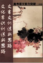 高考语文能力突破