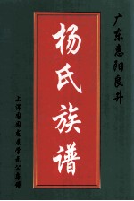 广东惠阳良井杨氏族谱 上洋围围龙屋学元公房谱